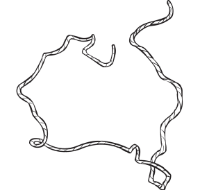 Rope configured to represent map of Australia, as seen in team-building activity called Map Making