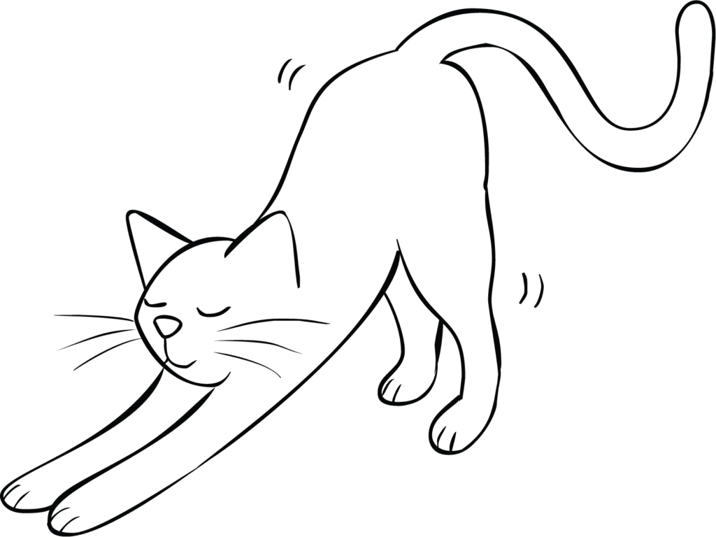 Illustration of cat stretching as part of Breathe and Stretch