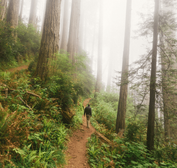 Man getting his nature pill in forest. Credit Connor McSheffrey